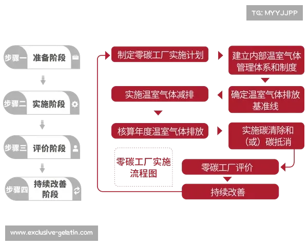 零碳项目实施全流程解析与关键注意事项详解 零碳项目实施全流程解析与关键注意事项详解